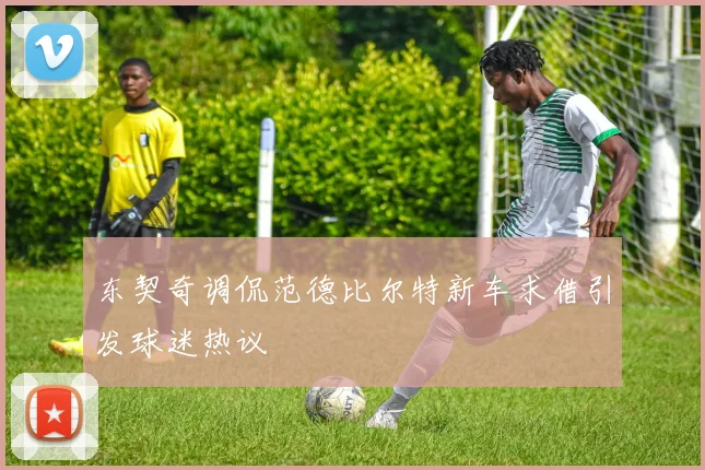 东契奇调侃范德比尔特新车求借引发球迷热议