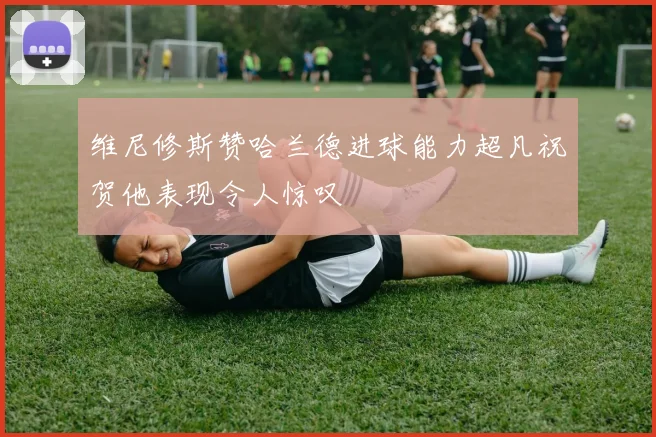 维尼修斯赞哈兰德进球能力超凡祝贺他表现令人惊叹